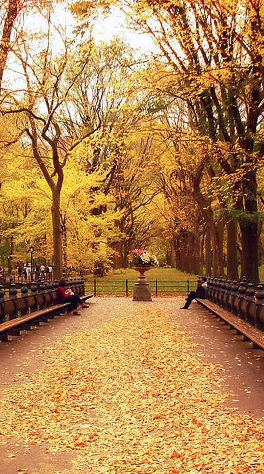 Fall Park smartphone Awesome Background idea