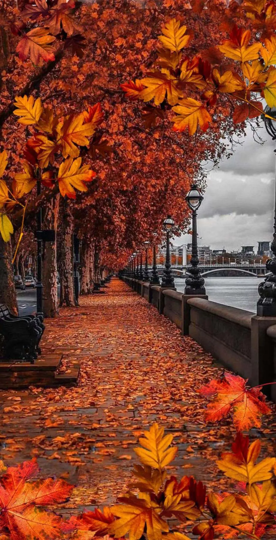 Fall Streets Amazing Excellent Background