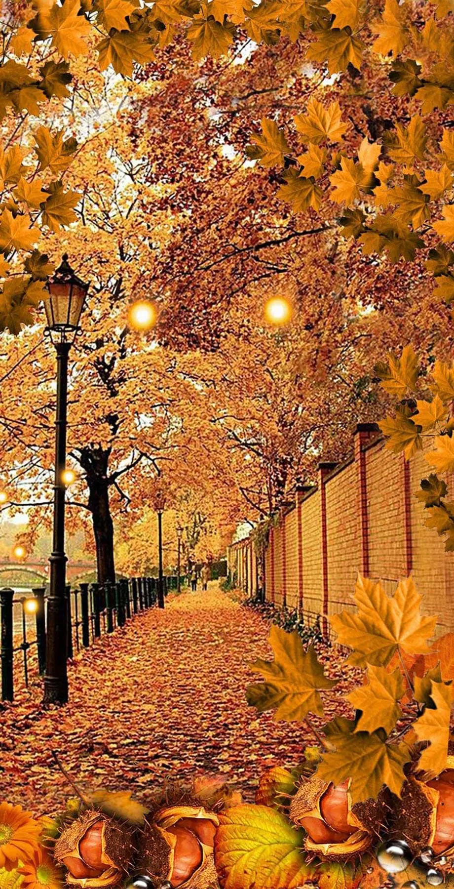 Fall Streets Design Cute Wallpaper