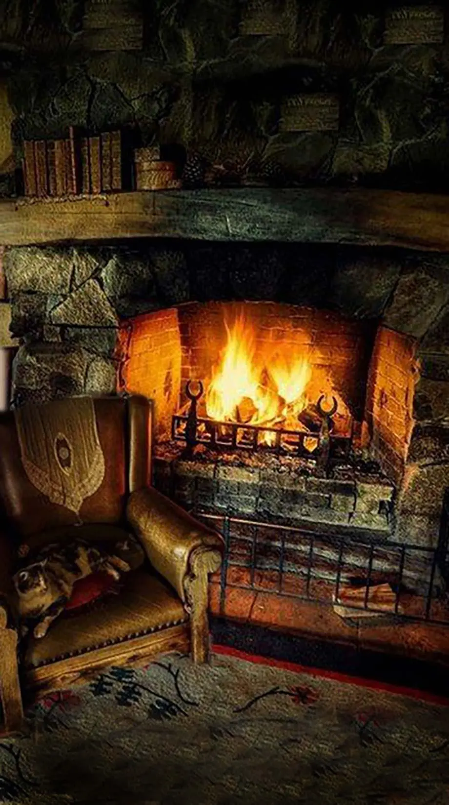 Fireplace Cozy Cute Nice Background