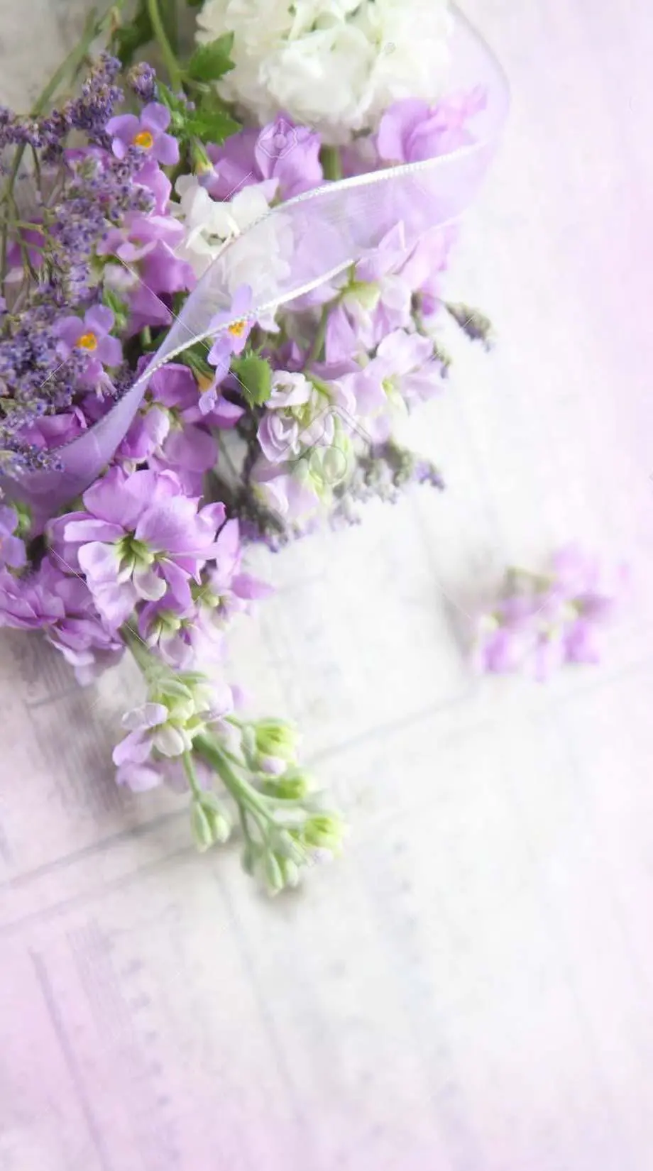 Flowers Purple Cute Amazing Wallpaper picture