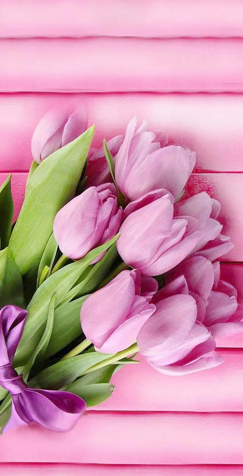 Flowers Tulips Great Wonderful Background