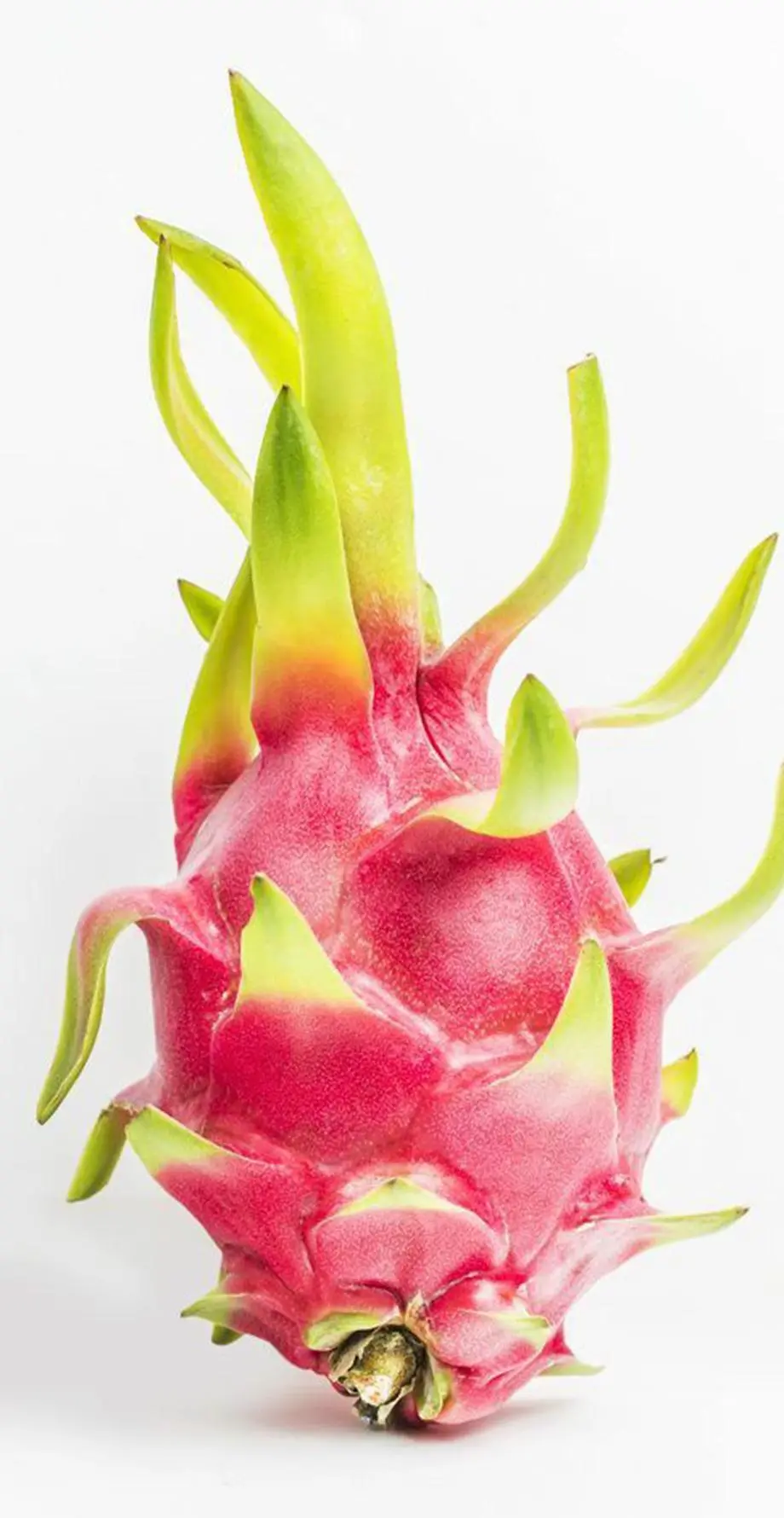 Fruits Dragon fruit Tender Great Background Digital, new iphone wallpaper, i Phone 14 wallpaper background, i Phone 15 Pro wallpaper background, Samsung galaxy s22 wallpaper background, Samsung galaxy s8 wallpaper background, VIVO wallpaper background, for desktop, for PC, for computer