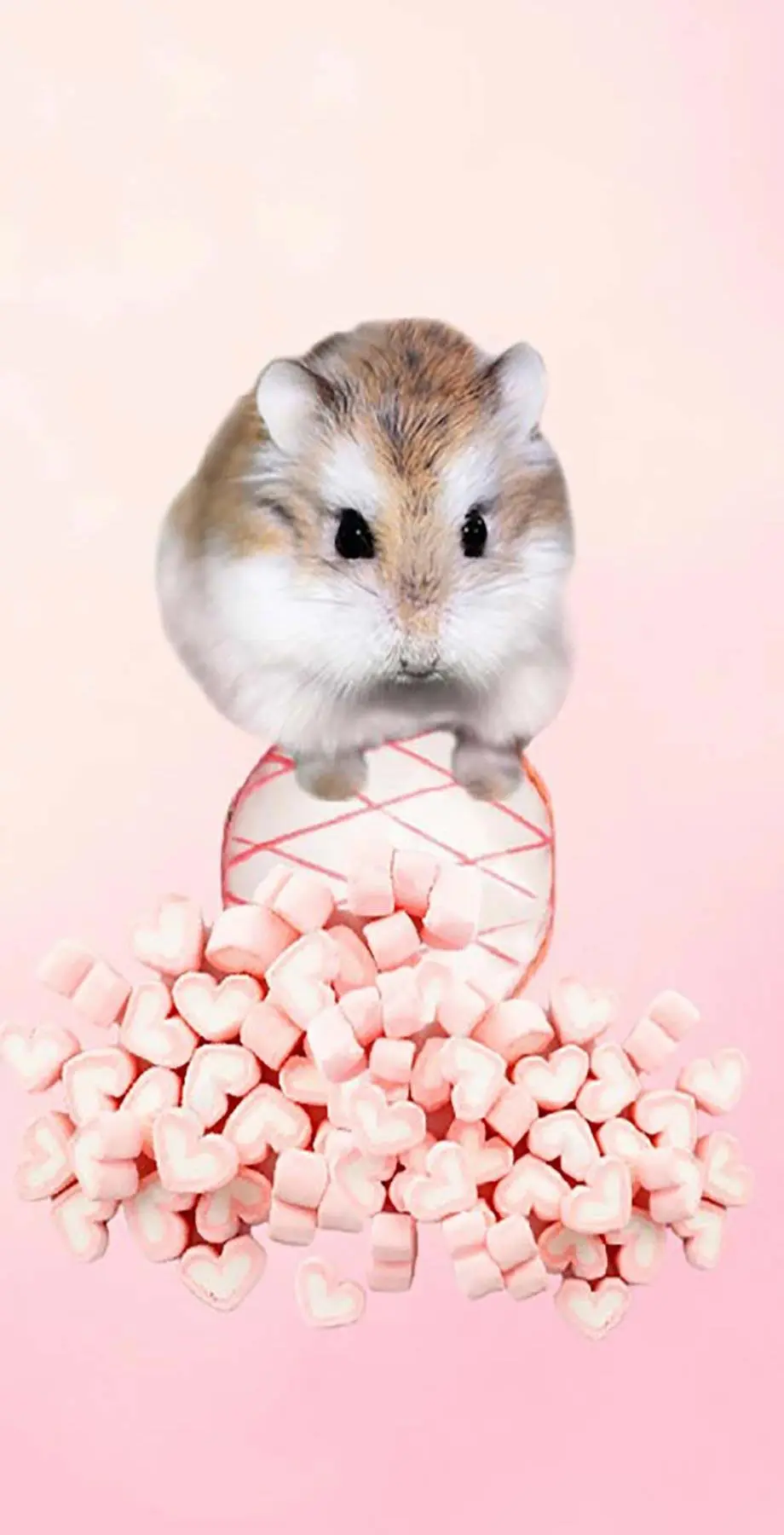 Hamster Pink Collection Best Wallpaper Digital wallpaper, new iphone wallpaper background, i Phone 12 wallpaper, i Phone 14 wallpaper background, Galaxy A34 wallpaper background, Samsung galaxy s22 ultra wallpaper background, HUAWEI wallpaper background, for desktop, for PC, for computer