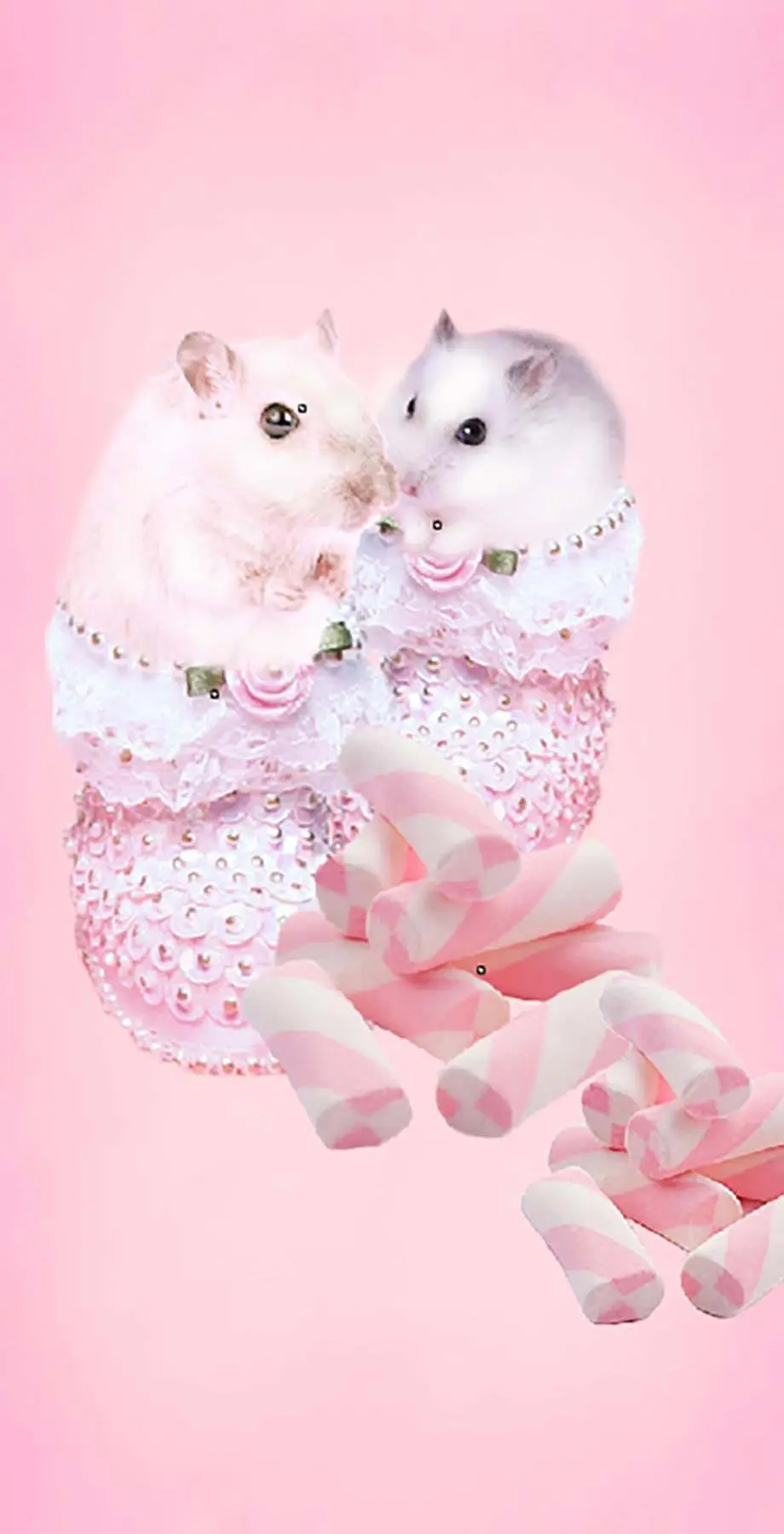 Hamster Pink Cool Cool Background idea