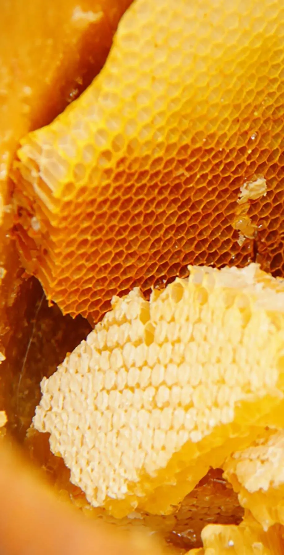 Honey Comb Stylish Awesome Wallpaper background