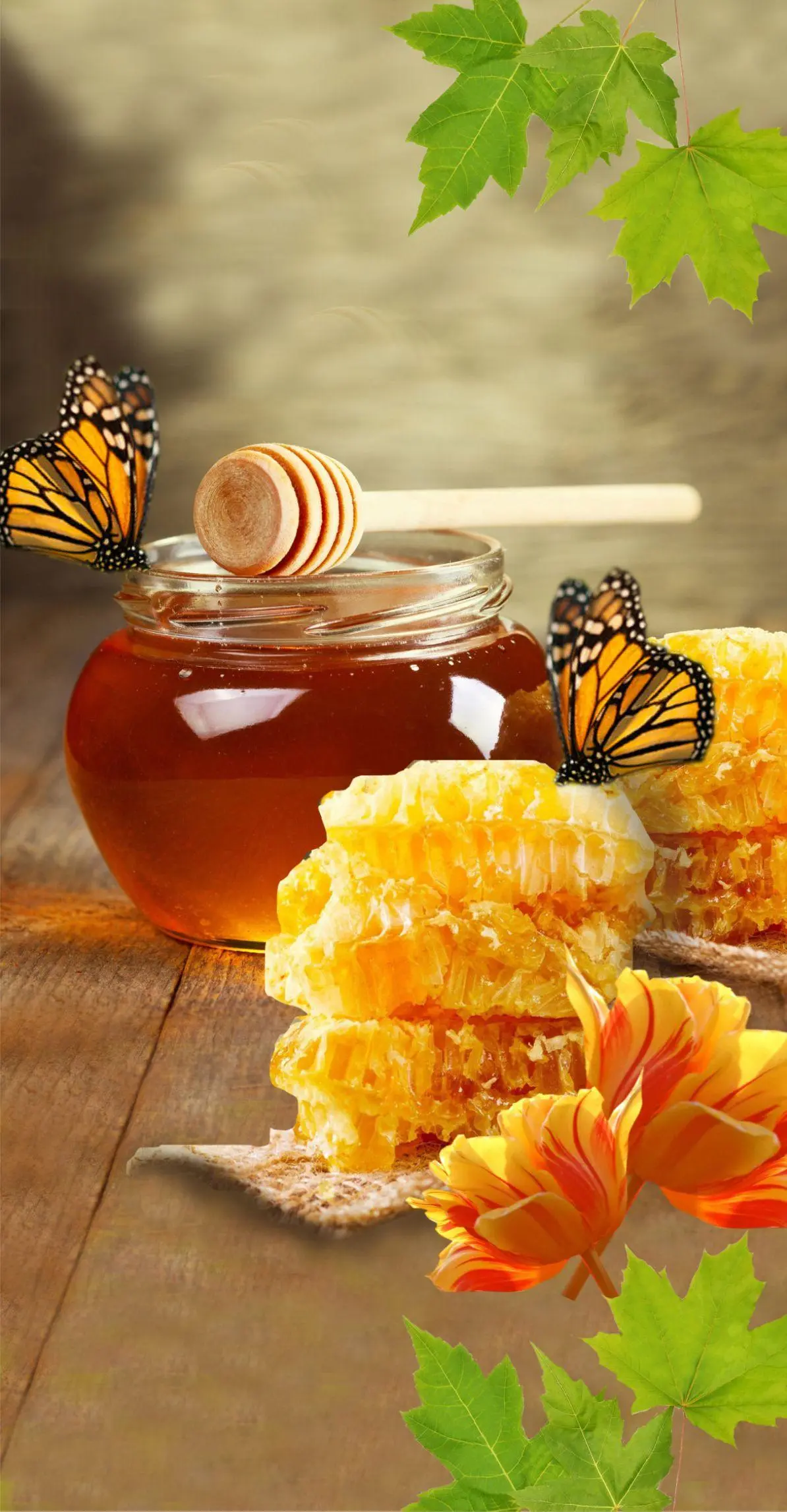 Honey iPhone Wonderful Perfect Wallpaper