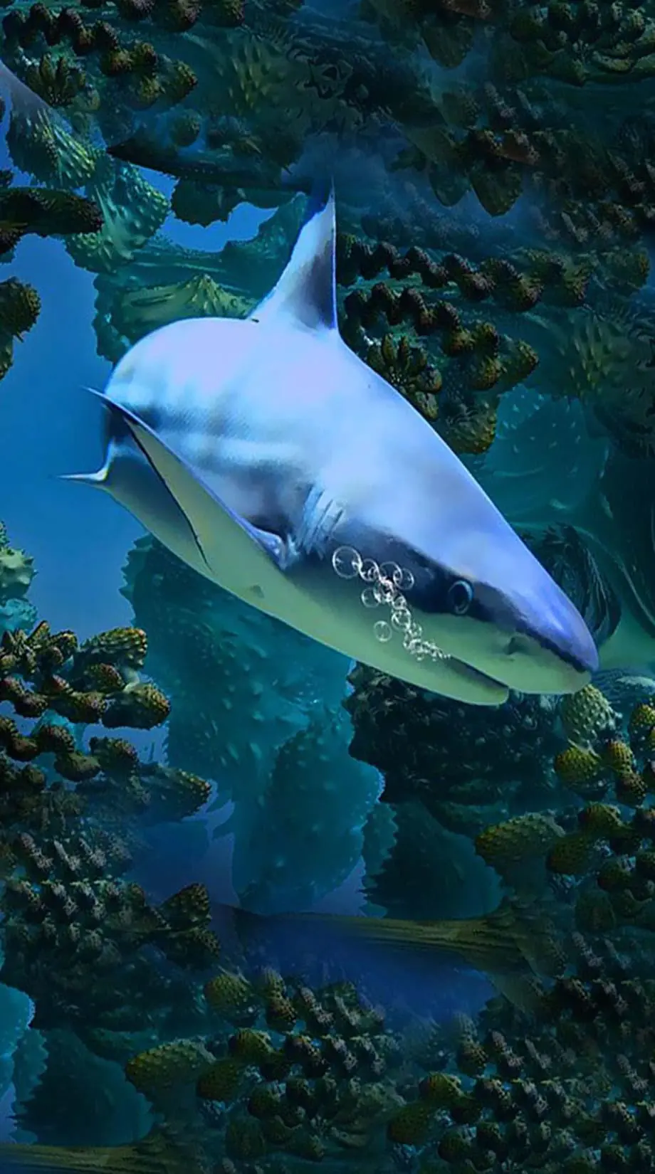 Shark Lock Screen Awesome Nice Wallpaper idea