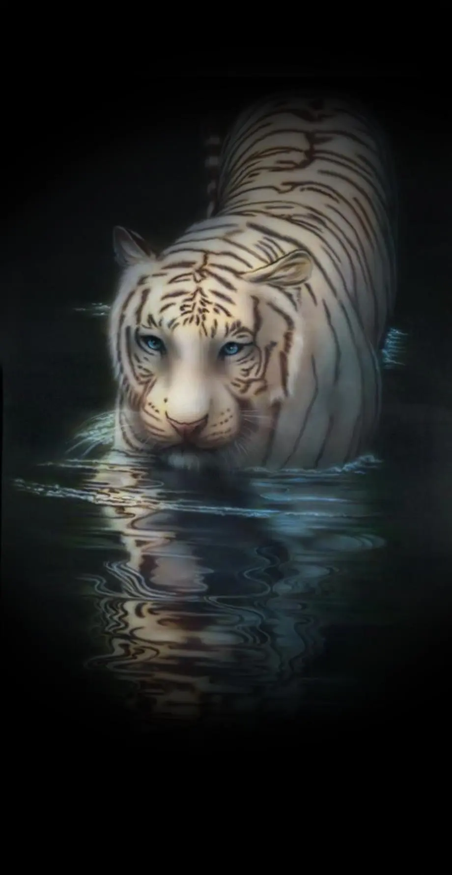 Tigers Black Design Beautiful Background