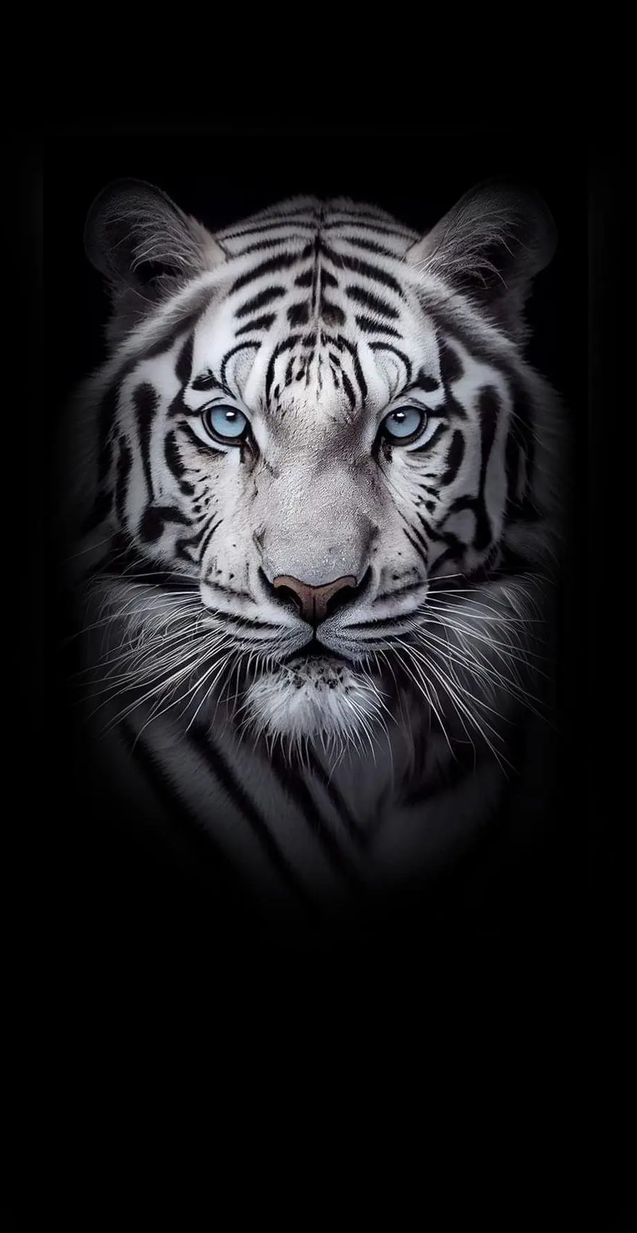 Tigers Screen Saver Nise Wonderful Wallpaper picture