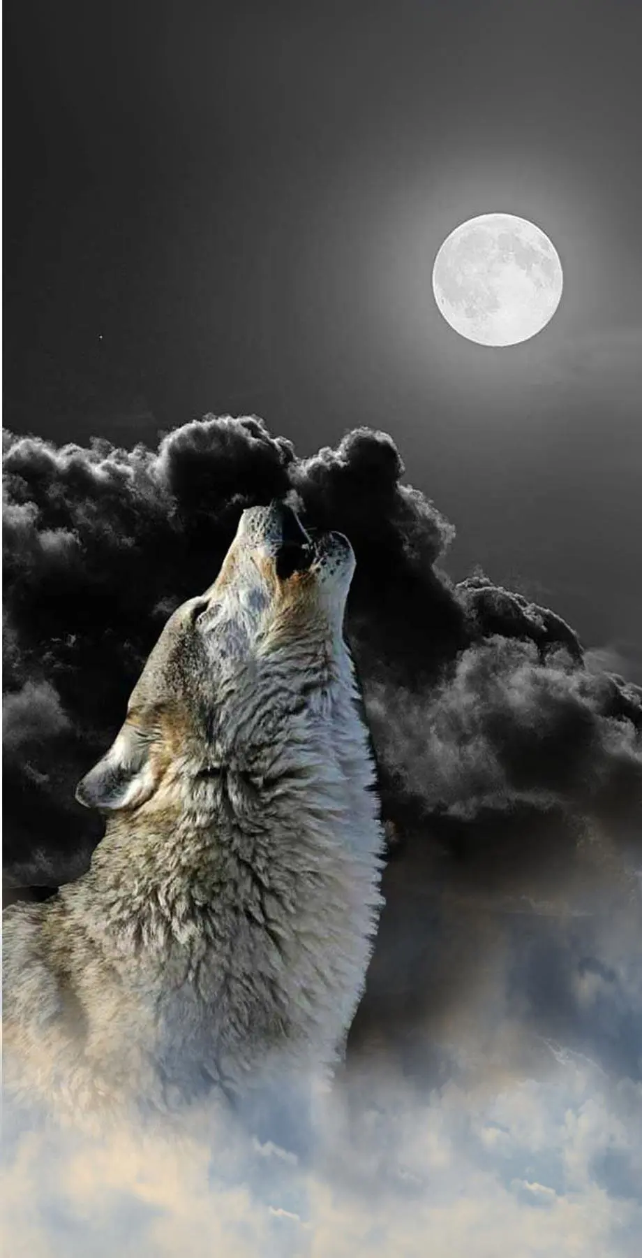 Wolf Night Design Top Wallpaper Digital wallpaper, phone wallpaper, i Phone 12 wallpaper, i Phone 15 Pro Max wallpaper background, Galaxy A15 5G wallpaper background, Galaxy A54 wallpaper background, ONEPLUS wallpaper background, for desktop, for PC, for computer