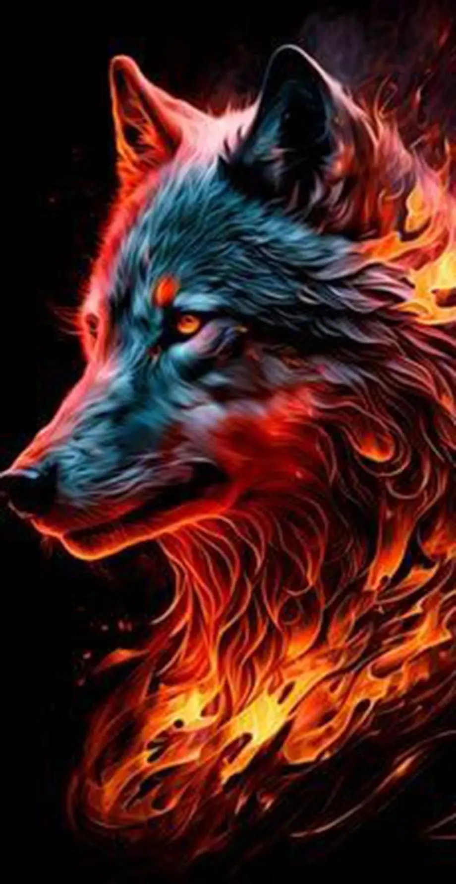 Wolf Red Photo Top Wallpaper idea