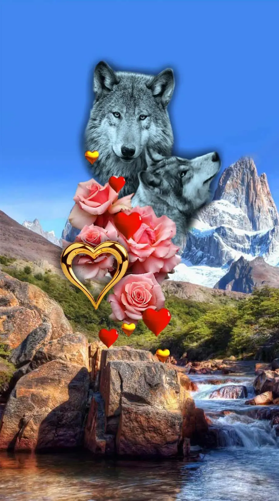 Wolf Romantic Amazing Beautiful Wallpaper background Background, iphone wallpaper background, i Phone 10 wallpaper, iPhone 15 Plus wallpaper background, Galaxy S24 Ultra wallpaper background, Samsung galaxy s4 wallpaper background, ZTE wallpaper background, for desktop, for PC, for computer