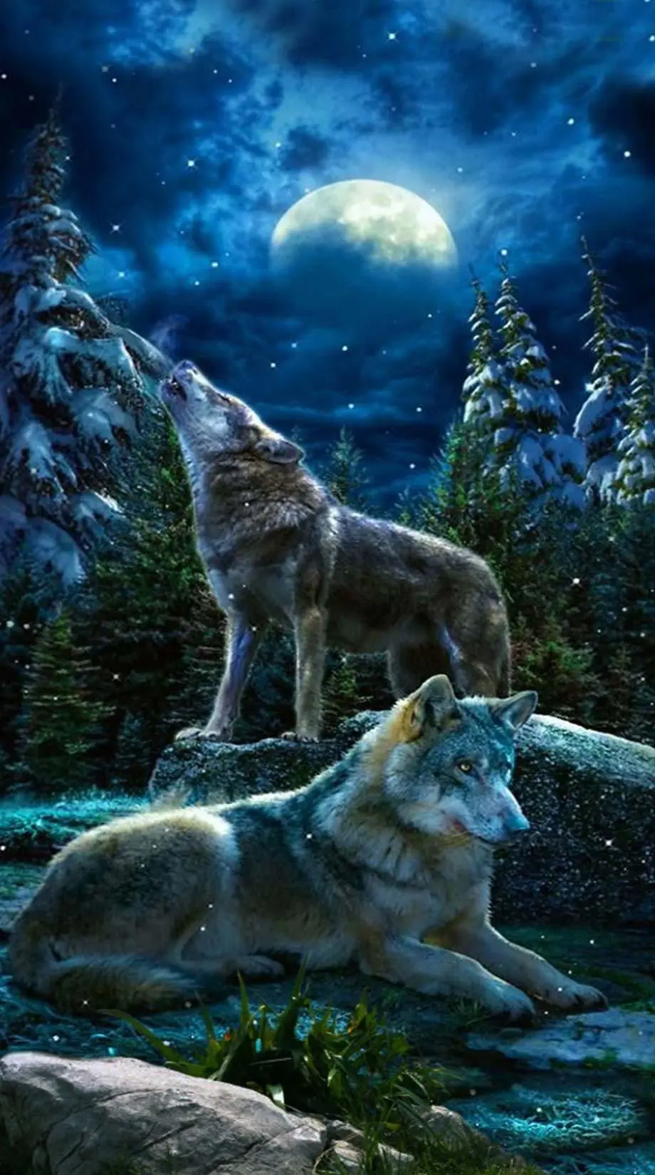 Wolf Snow Beautiful Top Wallpaper