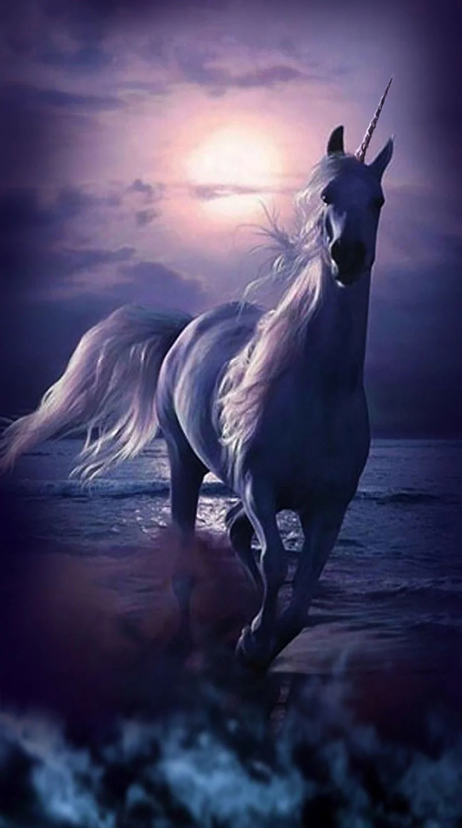 Unicorn Screen Saver Nise Great Wallpaper