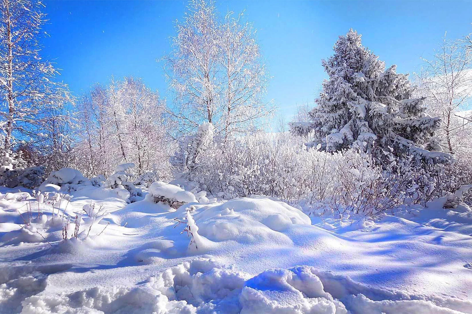 Winter Computer Iphone Amazing Wallpaper