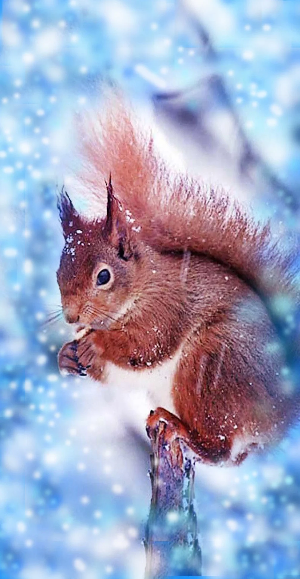Winter Pics Aesthetic Great Background idea Wallpaper, iphone wallpaper background, iphone 6 plus wallpaper background, i Phone 11 wallpaper, Galaxy A54 wallpaper background, Galaxy s 22 wallpaper background, LENOVO wallpaper background, for desktop, for PC, for computer